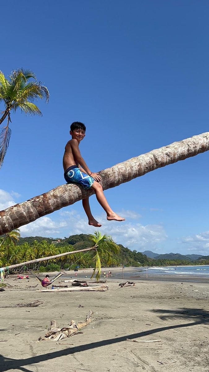 A child playing on a beach