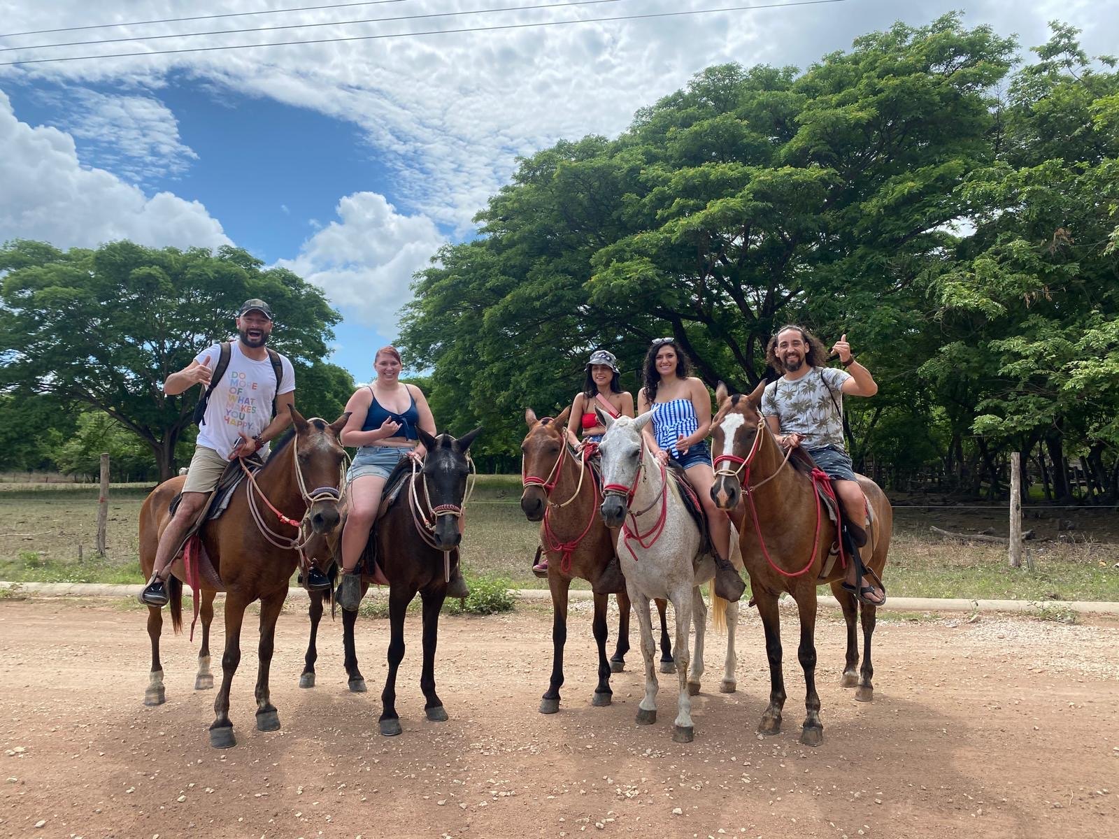 A group riding horses on a rainforest trail
